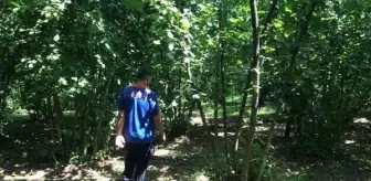 Alzheimer hastası kadın 60 kilometre uzaklıkta bulundu