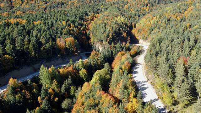 Belgrad Ormanına girmek yasak mı 2023? Belgrad Ormanı açık mı? Belgrad Ormanında mangal yakmak yasaklandı mı? İstanbul Valiliği'nden orman yasağı!