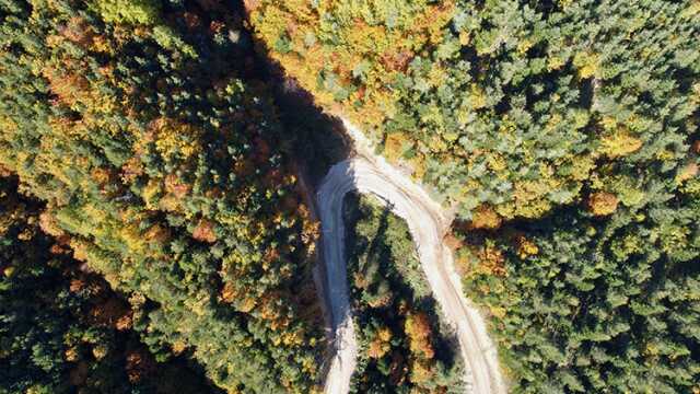 Belgrad Ormanına girmek yasak mı 2023? Belgrad Ormanı açık mı? Belgrad Ormanında mangal yakmak yasaklandı mı? İstanbul Valiliği'nden orman yasağı!