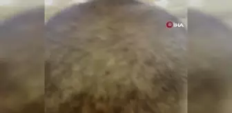 Hacıların En Büyük Hayali: Beytullah'a Yüz Sürmek