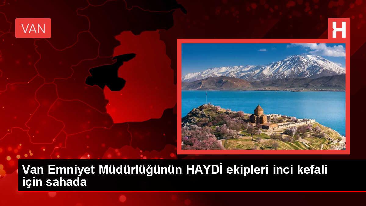 Van'da inci kefali kaçak avlanmasına karşı önlemler alınıyor