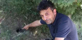 ERÜ'nün sembolü gelengilerin 2021'de 20 bin olan sayısı 15'e düştü