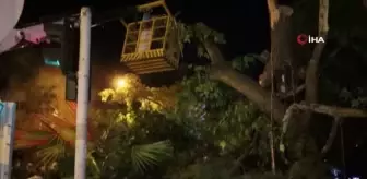 Turgutlu'da fırtına ağacı devirdi, yol trafiğe kapandı