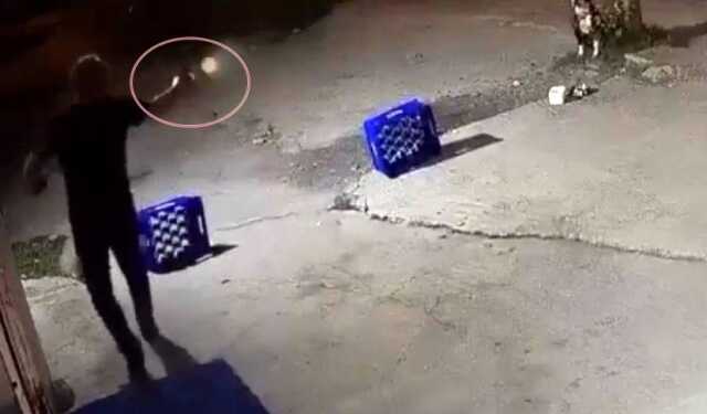 Dehşete düşüren görüntü! Tartıştığı mekan sahibinin ağaca bağlı köpeğine bir şarjör mermi sıktı Dehşete düşüren görüntü! Tartıştığı mekan sahibinin ağaca bağlı köpeğine bir şarjör mermi sıktı