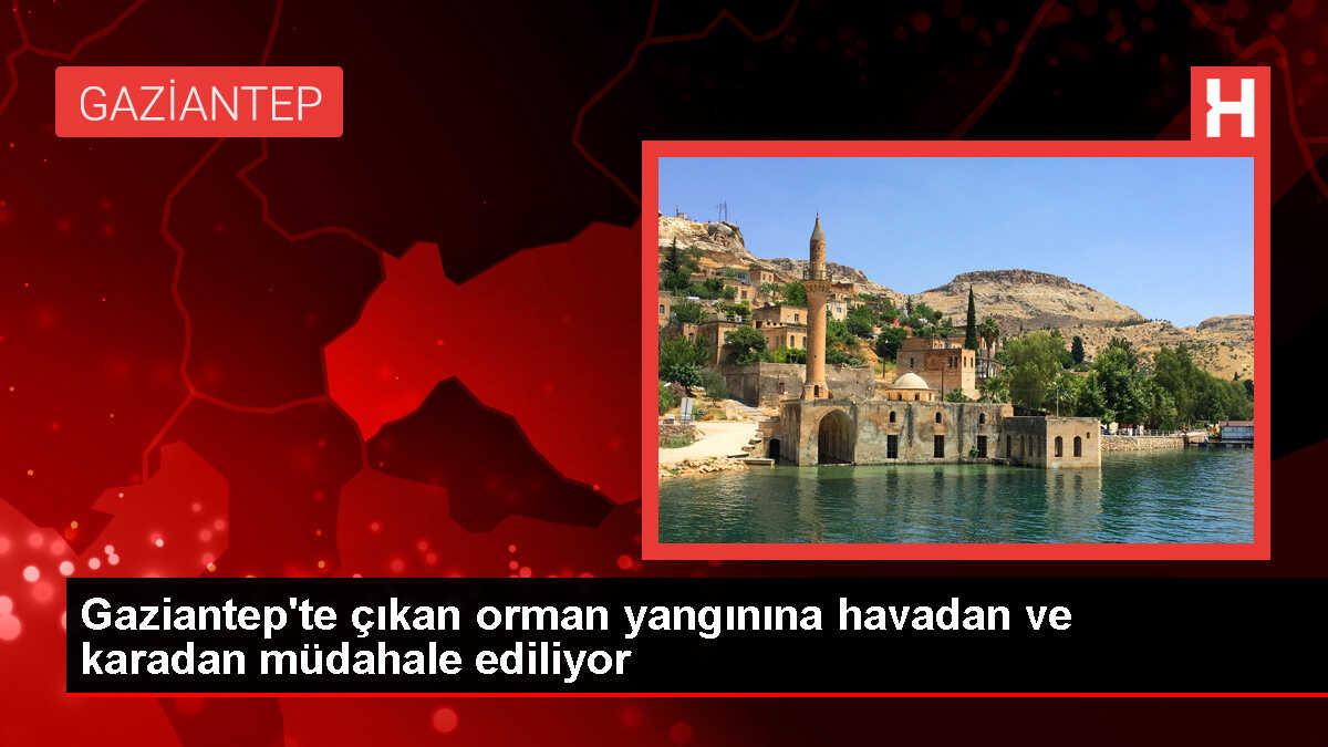 Gaziantep Nurdağı'nda Orman Yangınına Müdahale Ediliyor
