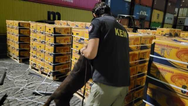 Mersin Limanı'nda muz yüklü konteynerden 11 kilogram uyuşturucu çıktı Mersin Limanı'nda muz yüklü konteynerden 11 kilogram uyuşturucu çıktı