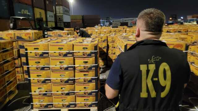 Mersin Limanı'nda muz yüklü konteynerden 11 kilogram uyuşturucu çıktı Mersin Limanı'nda muz yüklü konteynerden 11 kilogram uyuşturucu çıktı