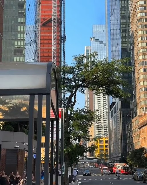 New York City'de Yanan Vinç Çöktü, İki Kişi Yaralandı