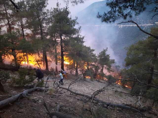 Bolu'da ormana düşen yıldırım yangına sebep oldu! Karadan müdahale zor, havadan destek veriliyor