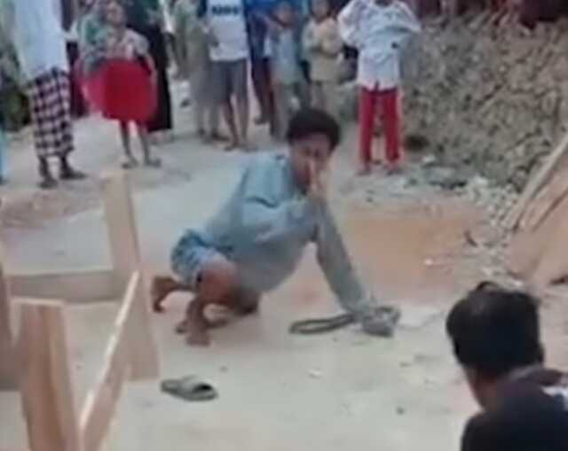 Endonezya'da yılan oynatıcısı yılan ile şov yaparken yılan burnunu ısırarak öldürdü Endonezya'da yılan oynatıcısı yılan ile şov yaparken yılan burnunu ısırarak öldürdü