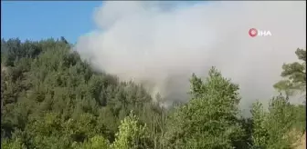 Sakarya'da ormanda yangınına havadan ve karadan müdahale sürüyor