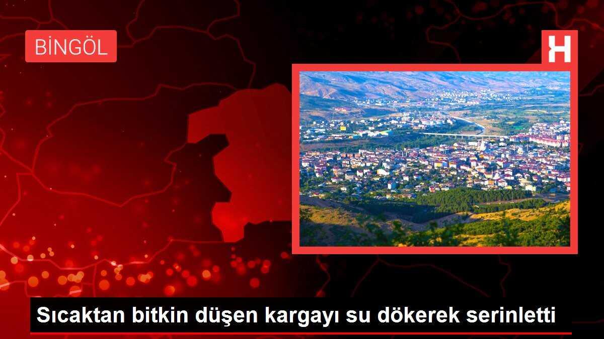 Sıcaktan bitkin düşen kargayı su dökerek serinletti