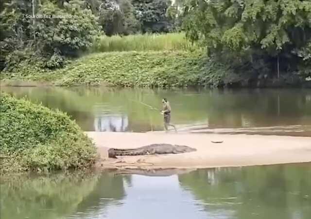 Dev timsaha aldırmadan balık tutmaya devam eden Avustralyalı adam tepki gördü