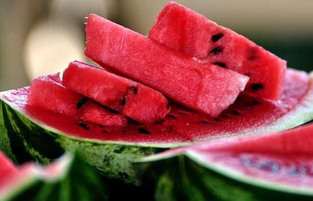 Papağanlar karpuz yer mi?