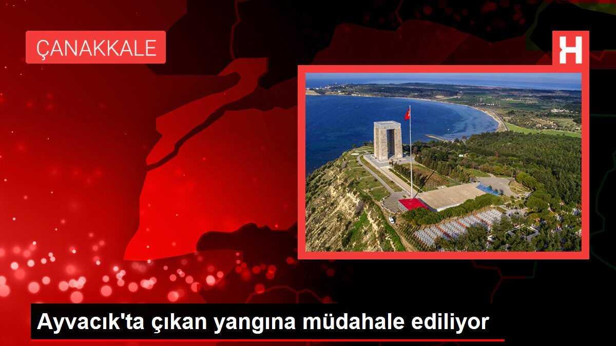 Ayvacık'ta çıkan yangına müdahale ediliyor