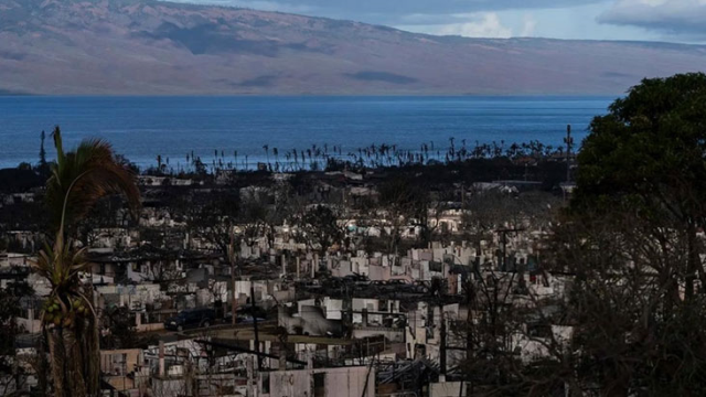 Hawaii'deki orman yangınlarında 850 kişiden haber alınamıyor