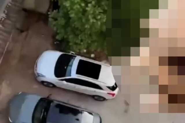 Acımasız köpek sahibi köpeğine işkence ettikten sonra yüksek bir binanın çatısından yere fırlatarak öldürdü