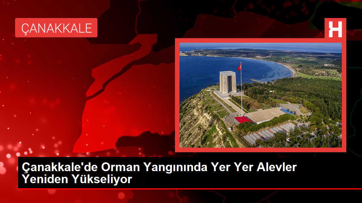 Çanakkale'deki Orman Yangını Tarım ve Orman Bakanlığı Tarafından Takip Ediliyor