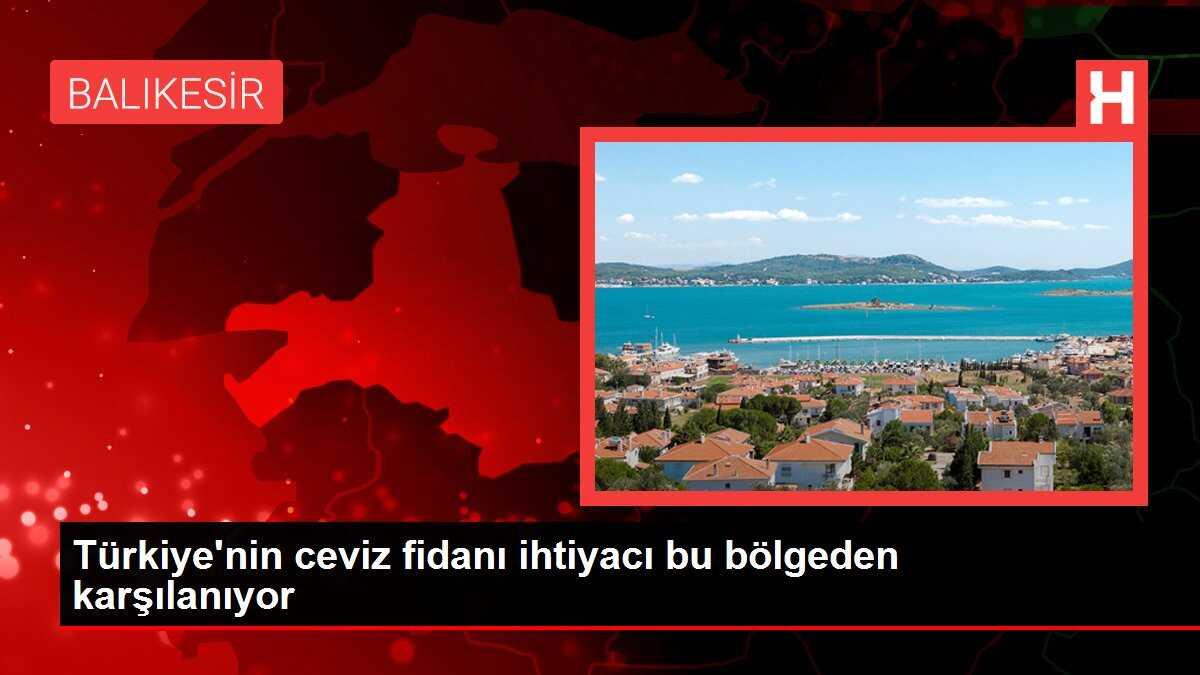 Türkiye'nin ceviz fidanı ihtiyacı bu bölgeden karşılanıyor