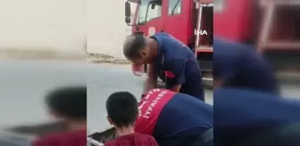 Yeraltı çöp konteynerine atılan kaplumbağayı itfaiye ekipleri kurtardı