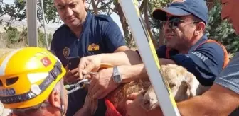 Kırıkkale'de Su Kuyusuna Düşen Keçi Kurtarıldı