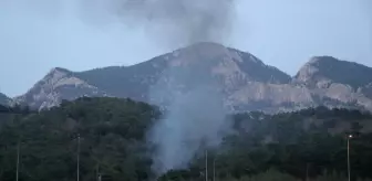 Adana'da otomobilden ormanlık alana sıçrayan alevler söndürüldü