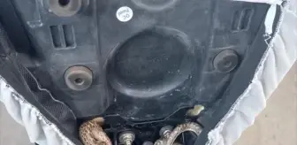 Aksaray'da Motosikletin Selesinde Yılan Bulundu