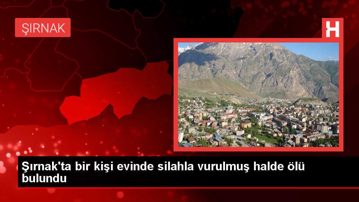 Şırnak'ta bir kişi silahla vurularak ölü bulundu