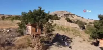 Karadeniz Bölgesi'nde sıklıkla görülen ağaç evlere bu kez Yozgat'ta rastlandı