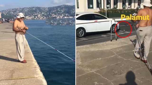 İstanbul'da bir balık, araba çarpması sonucu telef oldu