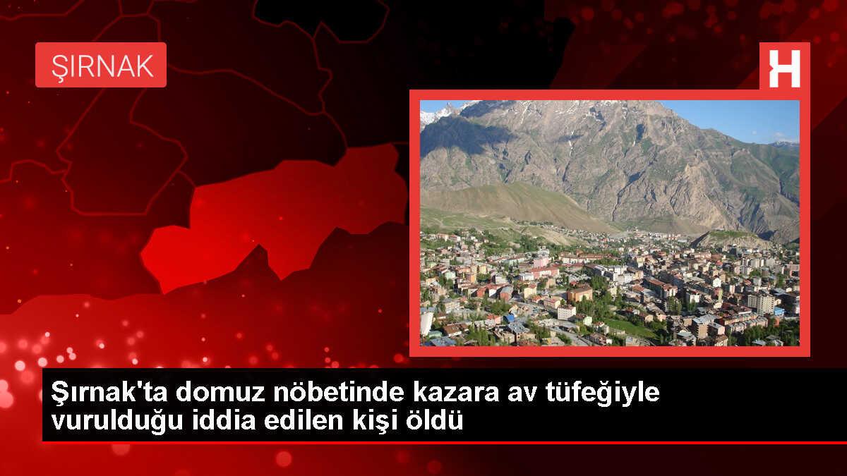 Şırnak'ta domuz sürüsüne açılan ateş sonucu kazara av tüfeğiyle vurulan kişi hayatını kaybetti