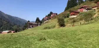 Ayder Yaylası yerli turistlere kaldı