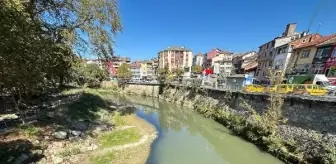 Bartın Irmağı'nda Balık Ölümleri
