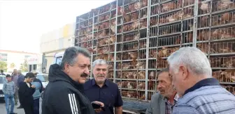 Cihanbeyli Belediyesi 800 aileye kümes hayvanı desteği sağladı