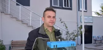 Aksaray'da Mısır yılanı ve tarantula kaçakçılığına el konuldu