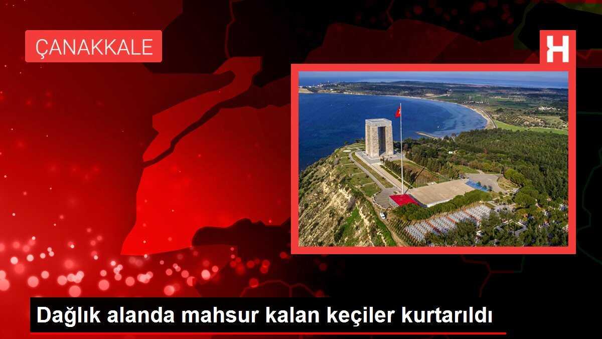 Dağlık alanda mahsur kalan keçiler kurtarıldı