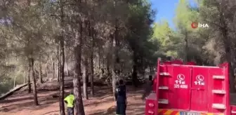 Burdur'da orman yangını kontrol altına alındı