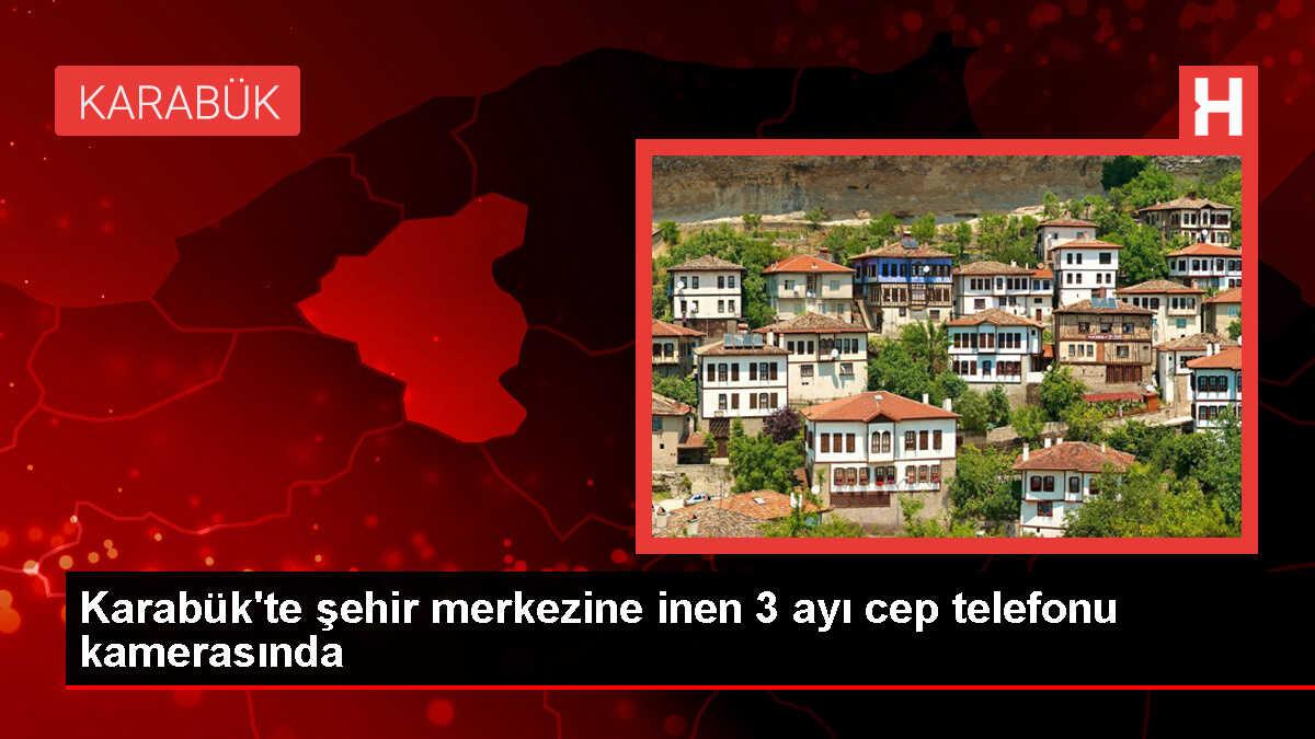 Safranbolu'da gece saatlerinde şehir merkezine inen 3 ayı kameralara yansıdı