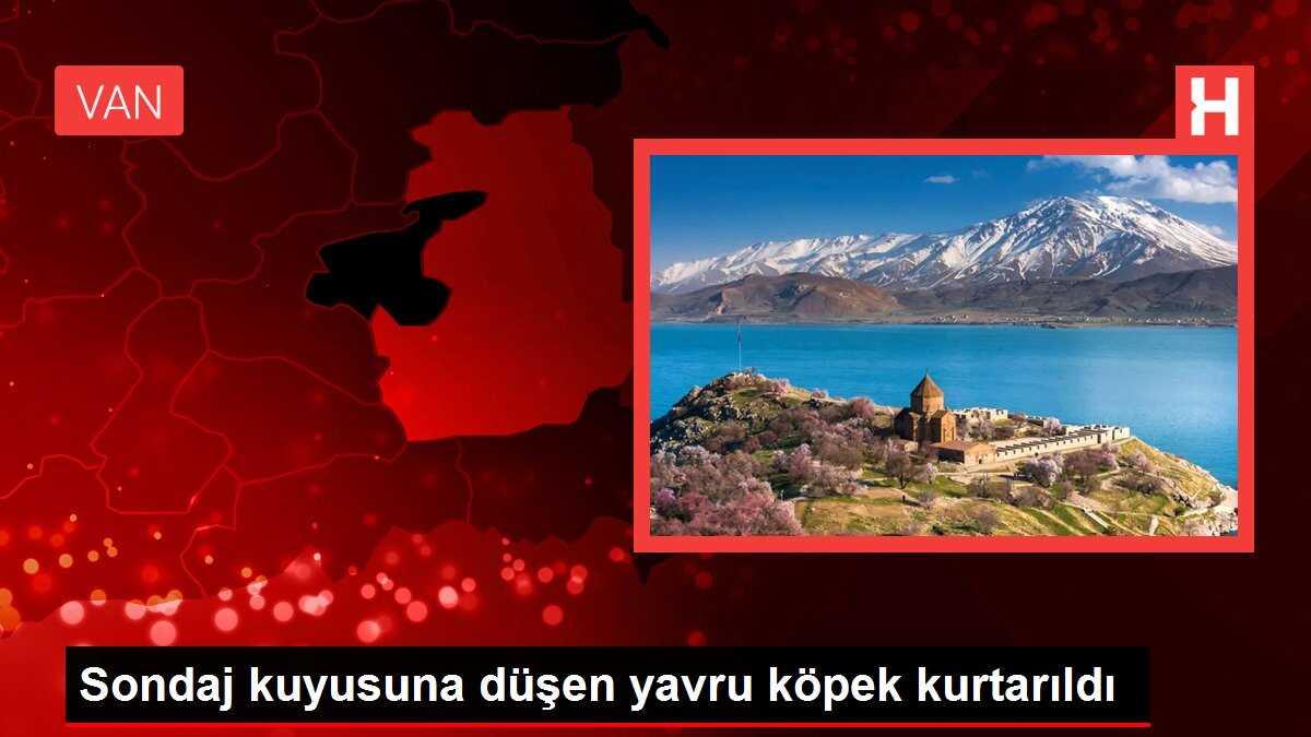 Sondaj kuyusuna düşen yavru köpek kurtarıldı