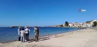 Foça plajlarında denizanası istilası: Yüzlercesi kıyıya vurdu