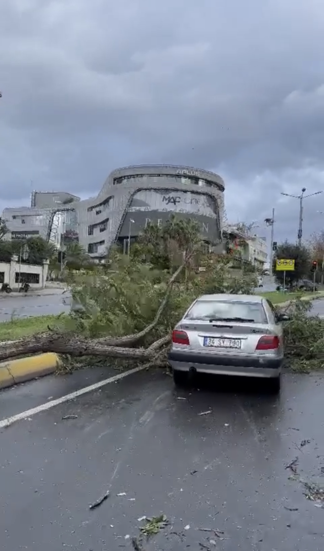 İstanbul'da sağanak alarmı! Valilik saat verdi, fırtına ağaçları devirdi