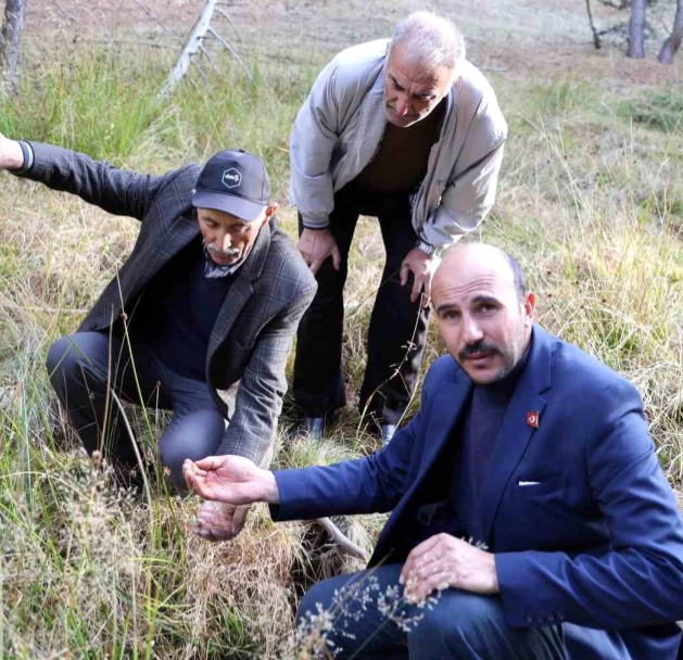 Sivas'ta petrol heyecanı! Nereyi kazsan fışkıran esrarengiz sıvı köylüleri umutlandırdı