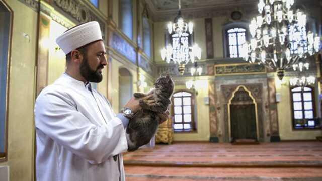 'Gazze' ve 'Filistin' dediği için umrede gözaltına alınıp ayağından kelepçelenen Türk imam Mustafa Efe serbest kaldı