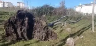 Dev dalgalar, Karadeniz Sahil Yolu'na ulaştı