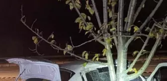 Amasya'da Otomobil Ağaca Çarptı: 1 Ölü, 1 Yaralı