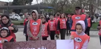 Sinop'ta Toprağa Saygı Yürüyüşü