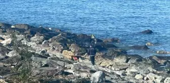 Rize'de kaybolan kadın için arama çalışmaları devam ediyor