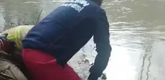 Bartın'da intihar girişimi