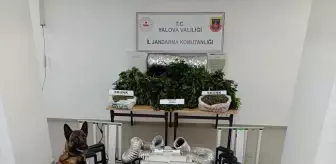 Yalova'da uyuşturucu imal edilen eve operasyon: 1 gözaltı