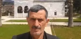 İznik'te Ağaç Kesimi Sırasında Kaza: Bir Kişi Hayatını Kaybetti
